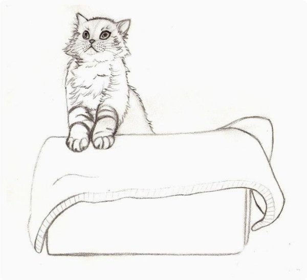 Эскизы для лежанки кошки