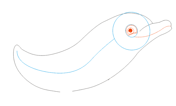 Как нарисовать дельфинарий поэтапно для детей