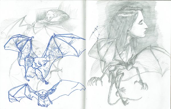 Рисунок сиренаголовова