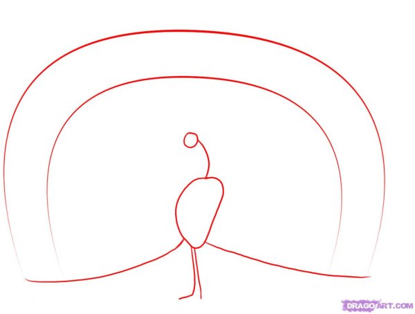 Как нарисовать павлина поэтапно