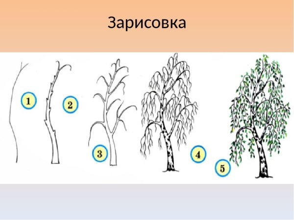 Последовательное рисование дерева