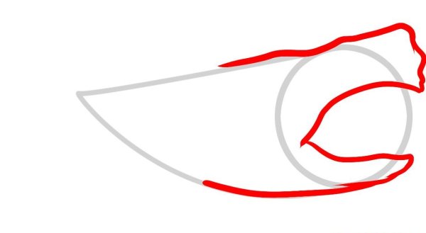 МЕГАЛОДОН рисунок поэтапно