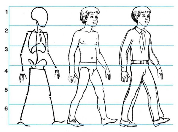 Пропорции фигуры подростка