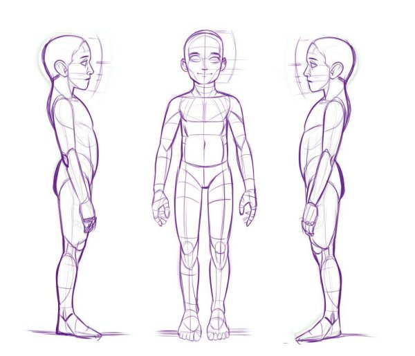 Анатомия ребенка референс