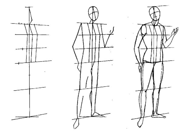 Этапы рисования человека