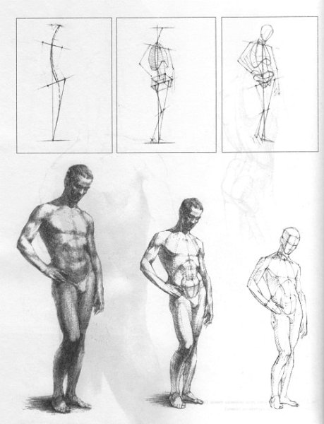 Академическое построение фигуры человека
