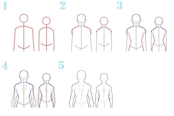 Поэтапное изображение человека