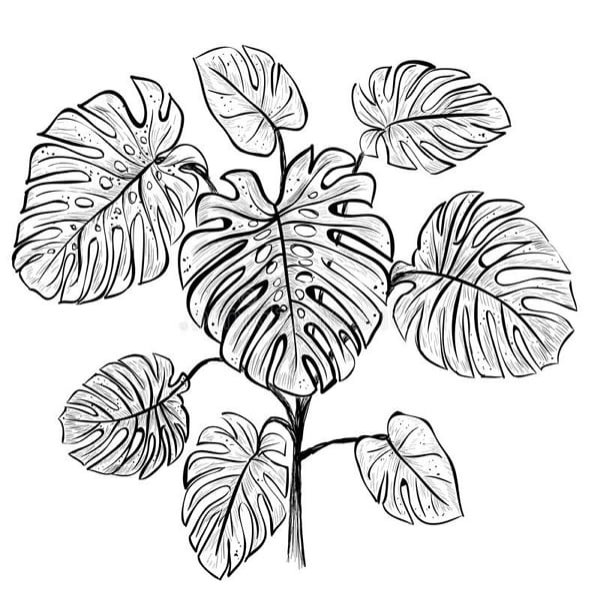 Экзотические листья