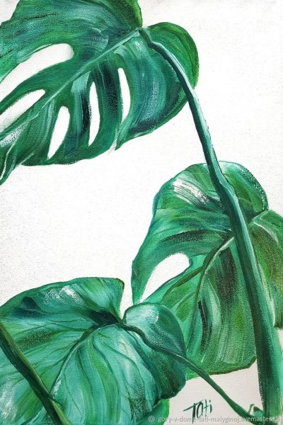Тропические листья монстера