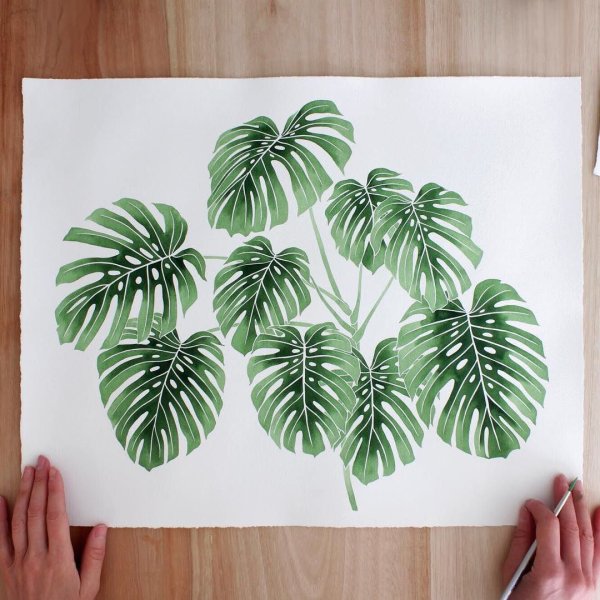 Рисование композиции из листьев монстеры