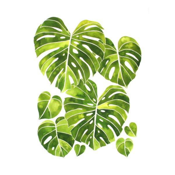 Трафарет для стен монстера