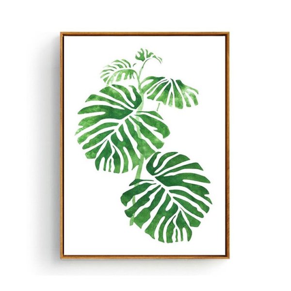 Листки монстера на стене