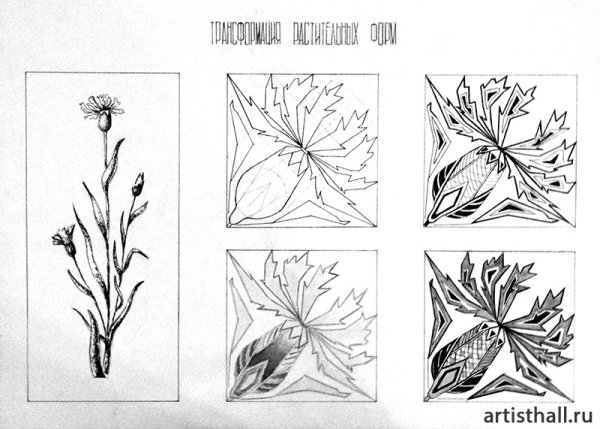Зарисовки растительных форм