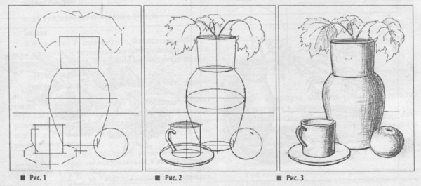 Этапы рисования натюрморта