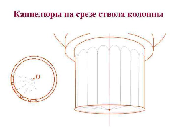Каннелюры рисунок