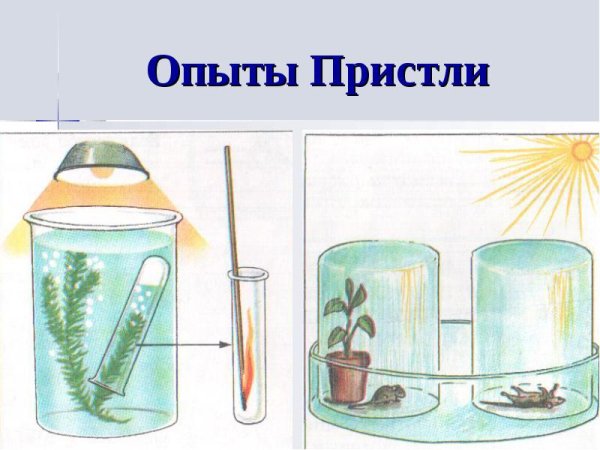 Опыт Джозефа Пристли с лучинкой