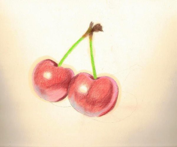 Вишня карандашом