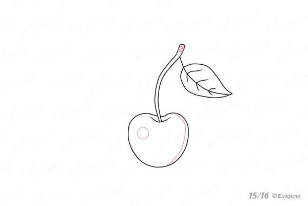 Вишенки рисунок карандашом
