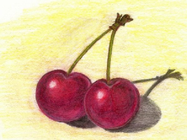 Вишня цветными карандашами
