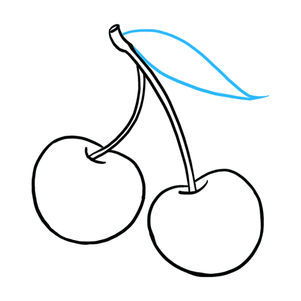 Вишня карандашом