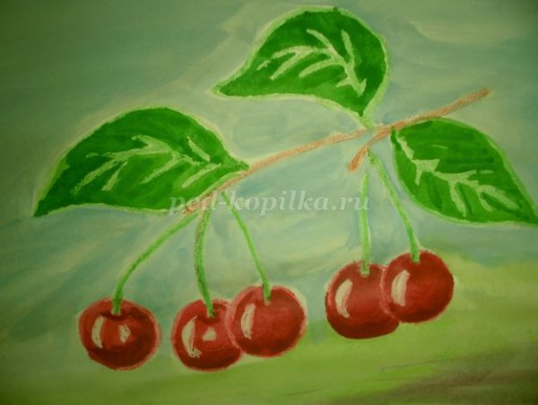 Черешня рисование в старшей группе