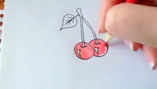 Вишня пошагово нарисовать