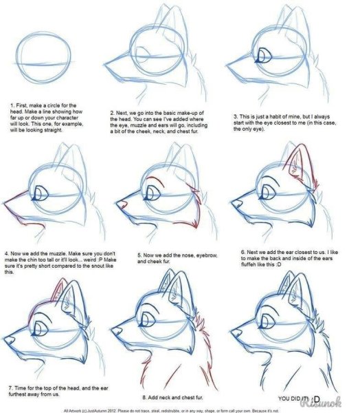 Поэтапное рисование фурри