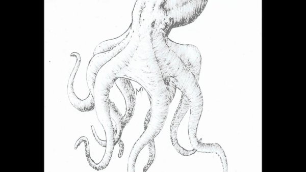 Морские чудовища карандашом