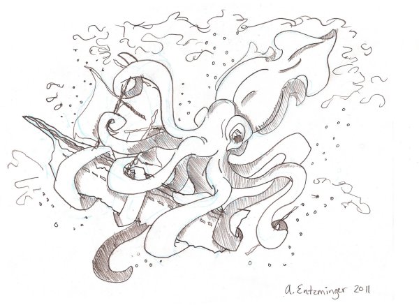 Раскраска осьминог Кракен