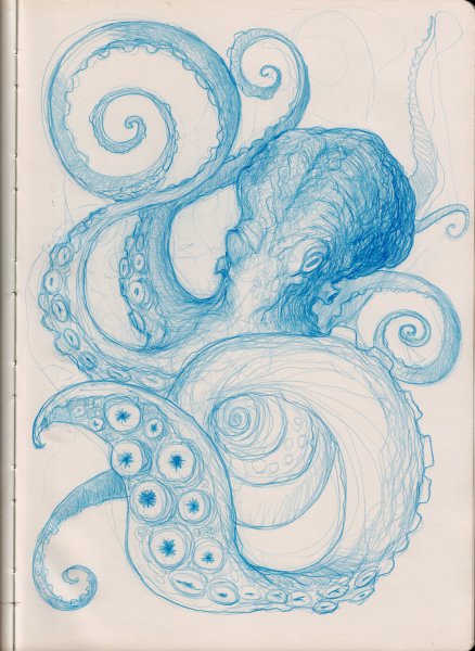 Кракен скетч