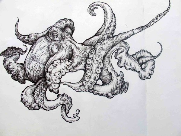 Тату эскизы Кракен осьминог