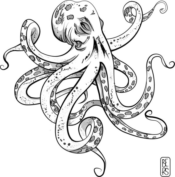Осьминог чб