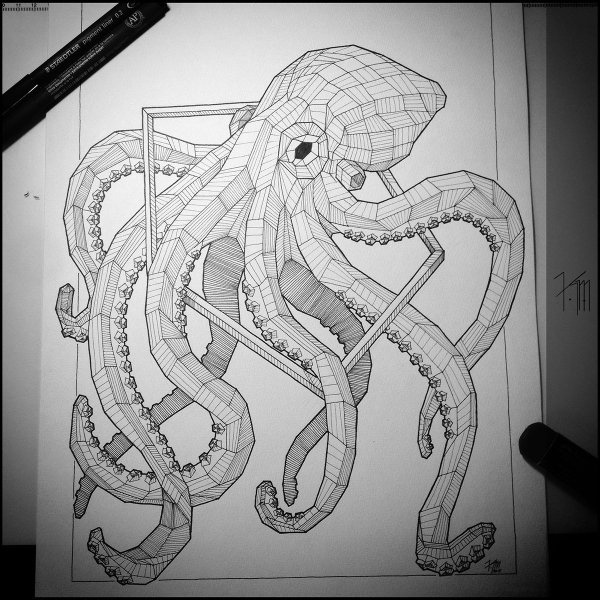 Осьминог геометрия