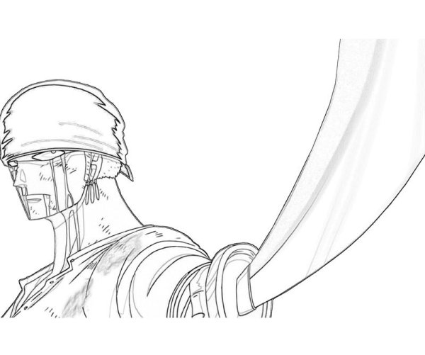 Маска зорро one piece