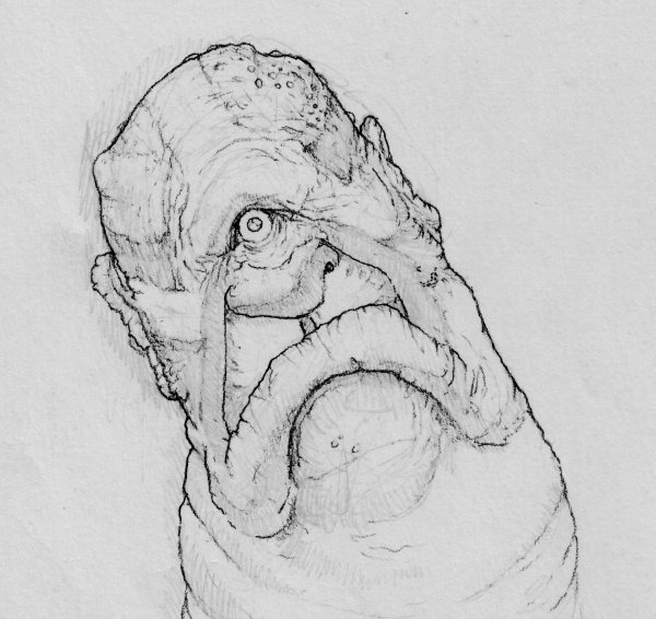 Циклоп раскраска