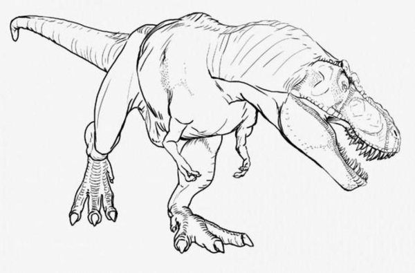 Раскраски парк Юрского периода Спинозавр