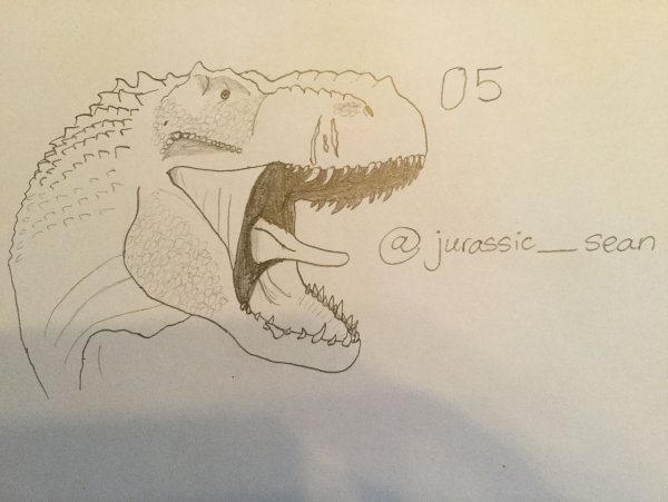 Раскраска Вастатозавр рекс