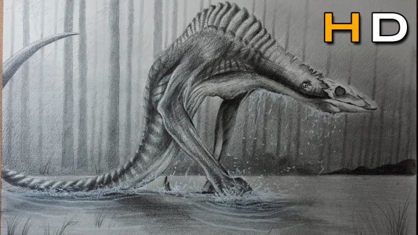 Черепозавры арт