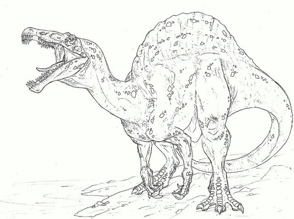 Как нарисовать динозавра Спинозавра