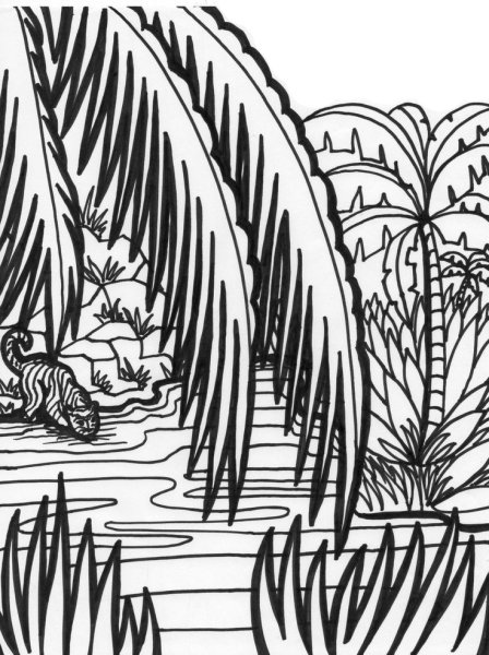 Раскраска джунгли