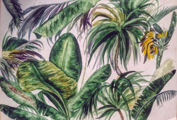 Джунгли маркерами