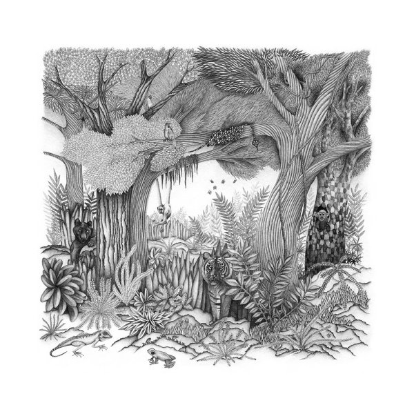 Джунгли графический рисунок