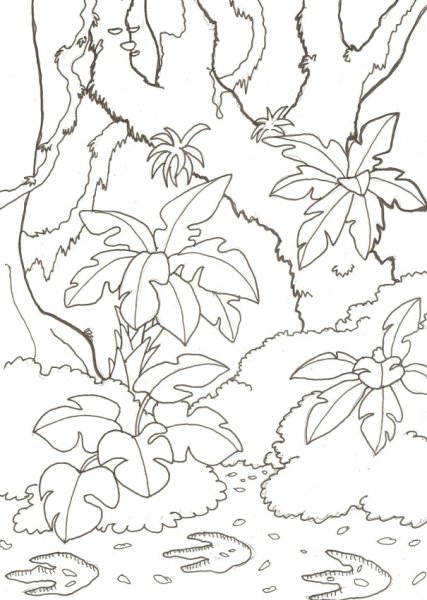 Растения джунглей карандашом