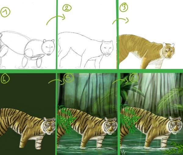 Пошаговое рисование Пальма