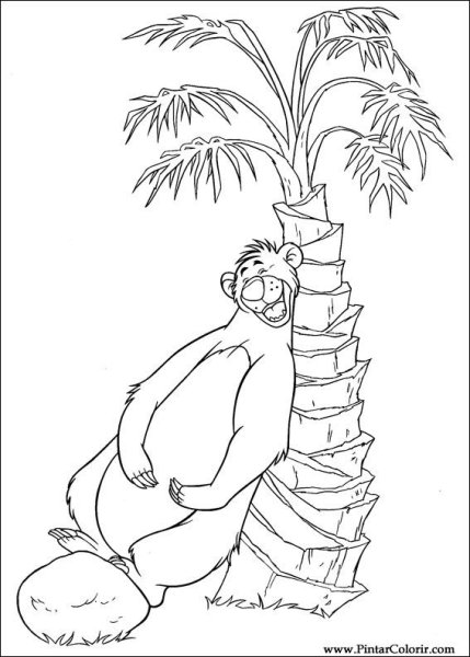 Раскраска природы тропической