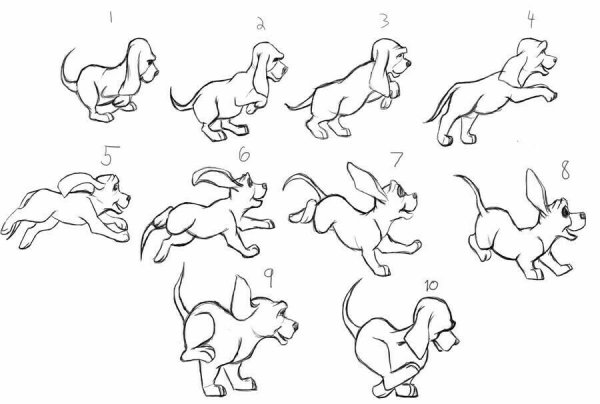 Как нарисовать оленя поэтапно для детей