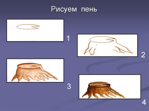 Как рисовать пеньки