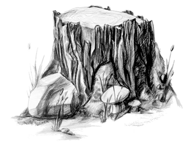 Зарисовки крупных камней