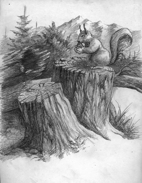 Пень карандашом