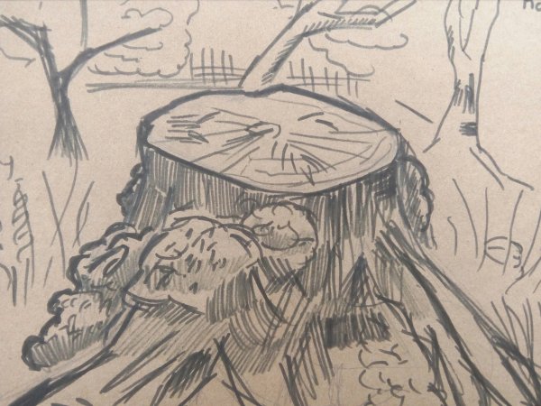 Пень карандашом